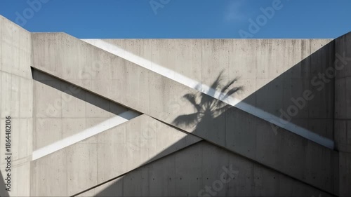 Camera Moves Around Abstract Concrete Structure With Palm Tree Shadow