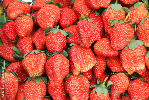Fresh Strawberries on Sale at a Morning Market, Luang Prabang, Laos