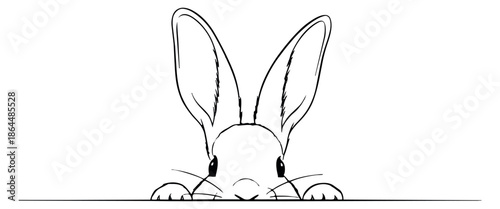 Hand drawn line art illustration of a cute rabbit depicting peeking over a border for Easter