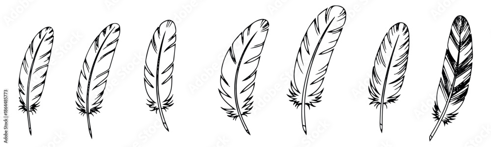 Obraz premium Hand drawn line art feather set featuring various detailed bird plumes for nature-themed designs