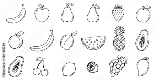 Hand drawn line art fruit set featuring a variety of fresh produce for healthy eating