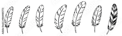 Hand drawn line art feather set featuring various detailed bird plumes for nature-themed designs