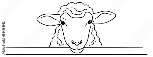 Hand drawn line art illustration of a lamb depicting its head peeking over a border for farm animal themes