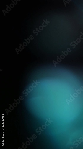 film camera light leak
