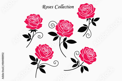 Collection of pink roses with black stems and leaves on white background
