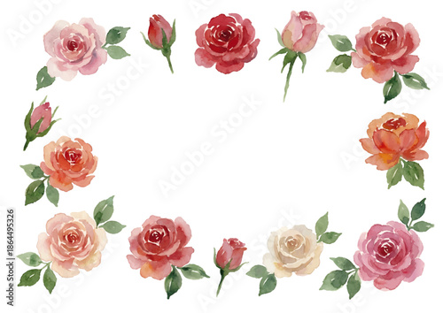 Watercolor-style rose illustration／薔薇