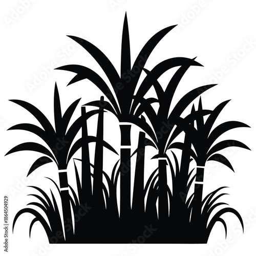 sugarcane harvest vector on white background