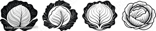 Bold cabbage line art illustration with curved leafy layers clean black outline botanical food design