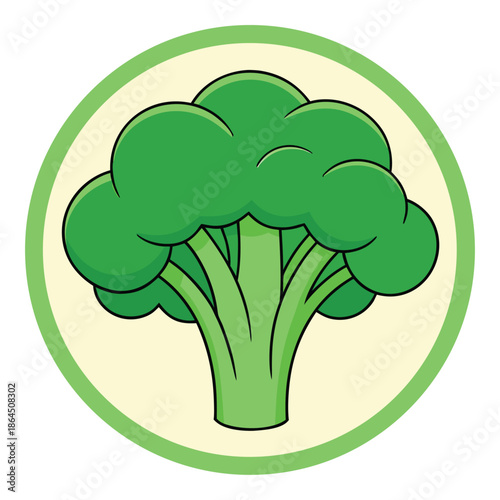 Fresh and healthy green broccoli floret in a cute cartoon style illustration
