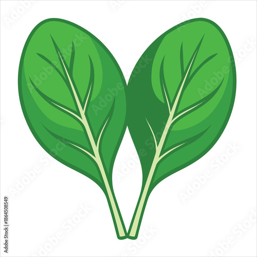 Vibrant green spinach leaves forming a heart shape with visible veins and a clean white background