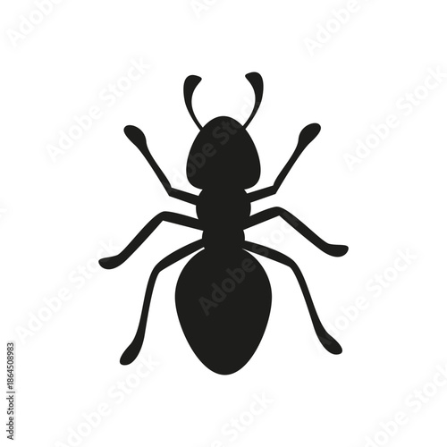 Top view of black ant silhouette isolated on white background. Simple ant icon vector illustration for insect, nature, or biology design.