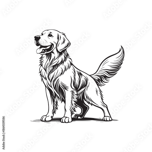 Cute golden retriever dog holding a bone vector illustration isolated on white background