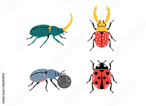 Collection of various colorful beetles including ladybug, rhinoceros beetle and stag beetle, entomology insects nature vector set.