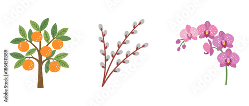 Traditional lunar new year decorative plants set with orange tree pussy willow and pink orchid flowers isolated on white background