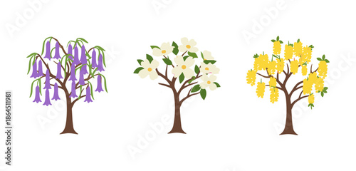 Beautiful Flowering Trees Collection Including Jacaranda Dogwood and Golden Chain Tree Illustrations for Nature and Gardening Concept
