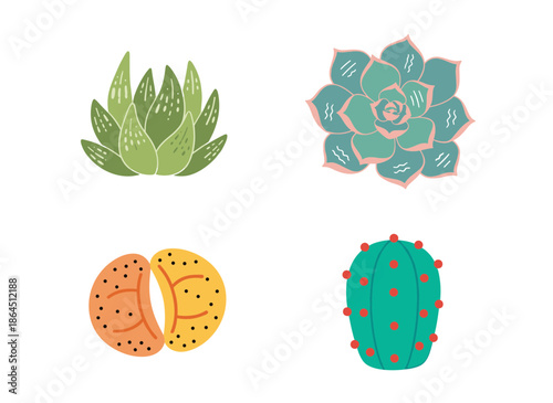 Various Succulent Plants and Cactus Collection with Green Leaves and Desert Flora for Home Decoration and Botanical Gardening