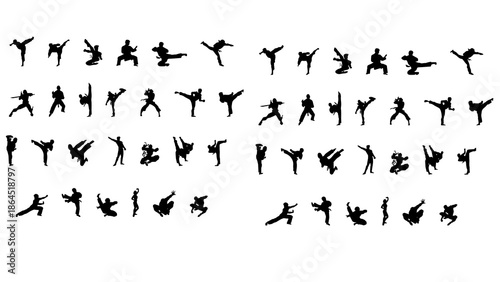 Photos Dynamic martial arts silhouettes in various fighting stances and poses