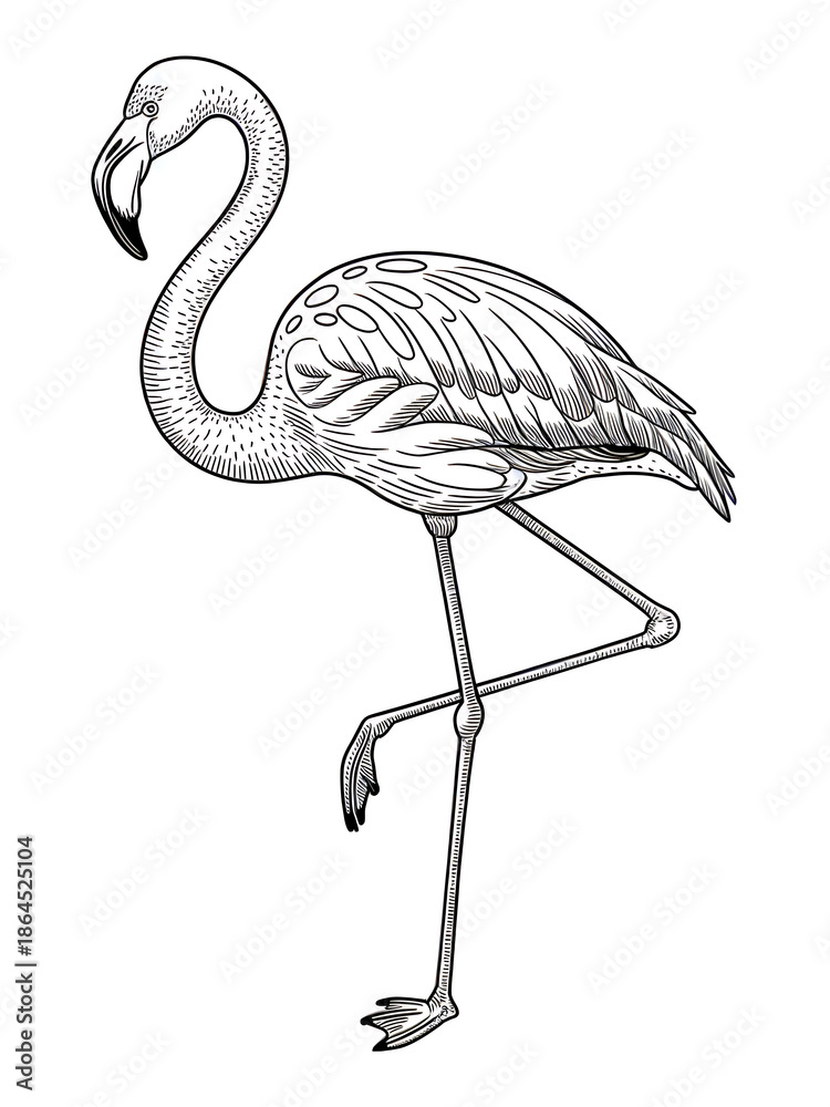 Obraz premium Graceful Flamingo Line Drawing Illustration: Vector Art of Exotic Bird in Black and White Flora – Sketch Style Nature Art for Contemporary Decor and Gift