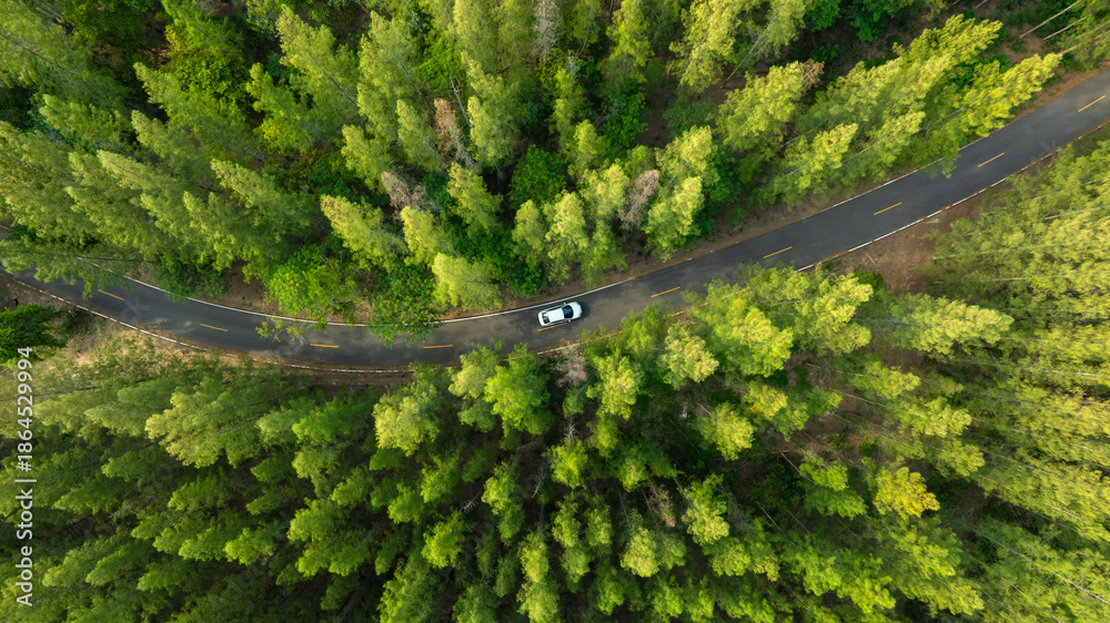 Fototapeta premium Aerial view of dark green forest road and white electric car Natural landscape and elevated roads Adventure travel and transportation and environmental protection concept 