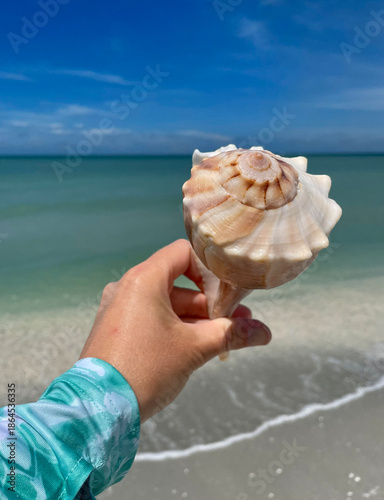 Photography Lightning Whelk Shell Held in Hand Against Turquoise Ocean and Blue Sky, Sanibel