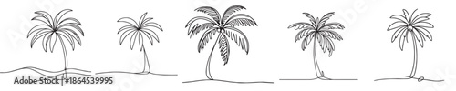 coconut tree vector continuous line style