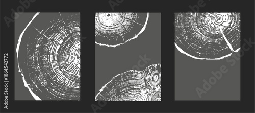 Set of tree ring patterns, wooden texture on dark backgrounds. Natural wood grain templates with circular trunk cross-sections, featuring tree trunk slices with annual rings for design projects Vector