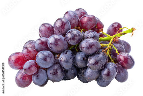Shiny, plump red-purple grapes on stem. Isolated