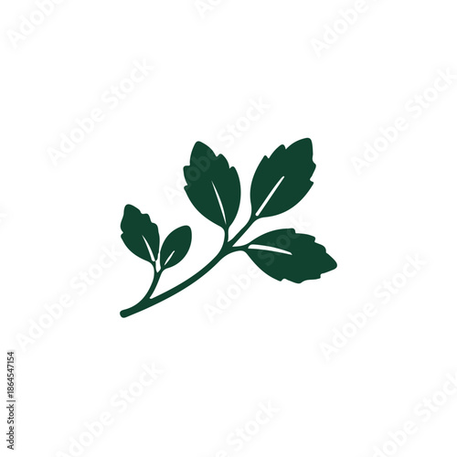Dark Green Herb Sprig Silhouette Representing Fresh Organic Culinary Ingredients and Nature