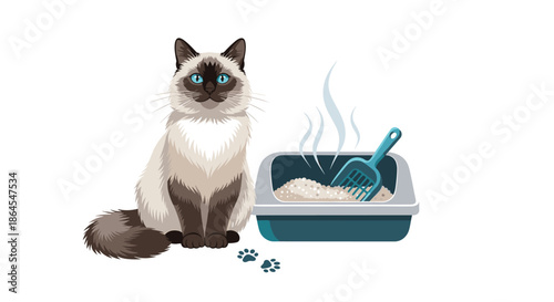A beautiful siamese cat sitting next to a clean litter box with a scoop representing pet care and feline hygiene vector.