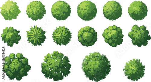 Top view green bushes and shrubs vector set for landscape planning garden maps and urban design illustration