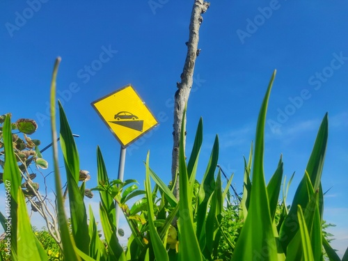 A yellow traffic sign warning of a downhill slope with a car image, framed by tall green plants and a clear blue sky in the background, creating a calm yet alert atmosphere