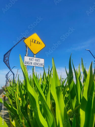 A yellow warning sign indicating strong wind conditions stands above tall green plants against a bright blue sky, featuring Indonesian text that reads “Hati-hati Angin Kencang” (Caution: Strong Winds)