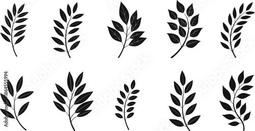 Black leaf branch silhouettes vector set with minimalist botanical foliage elements isolated on white background