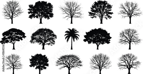 Black tree silhouettes vector set featuring various deciduous and tropical trees for nature landscape design projects