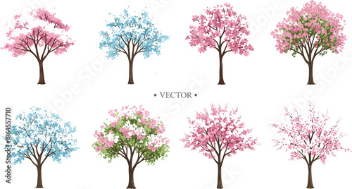 Colorful spring flowering trees vector set with pink and blue blossoms isolated on white background
