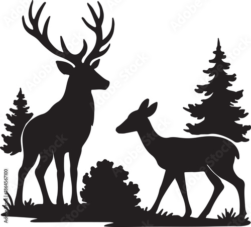 Silhouette of a majestic stag and doe amidst evergreen forest trees