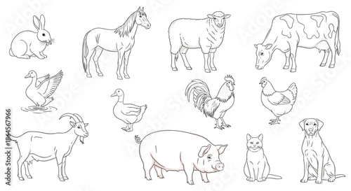 Assorted collection of twelve farm animal sketches including horse, cow, pig, goat, sheep, and various poultry on white.