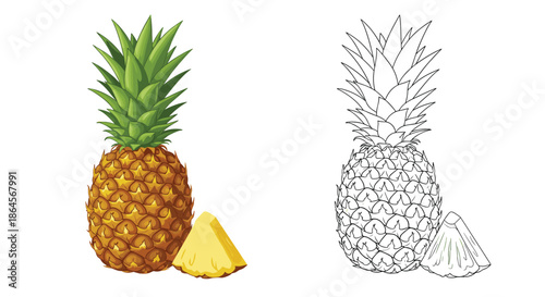 Tropical pineapple fruit shown whole with its spiky leaves and a single juicy slice in color and black and white outline.