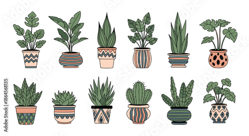 Assortment of diverse indoor potted plants including various succulents and leafy house plants in decorative patterned pots over white.