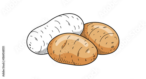 Three potatoes shown in a sketch style with one peeled and two with natural skin, representing fresh vegetables and cooking ingredients.