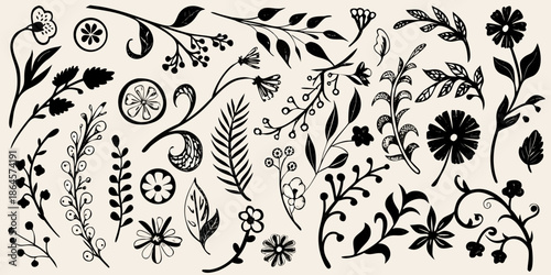 A collection of delicate botanical illustrations featuring various flowers and leaves