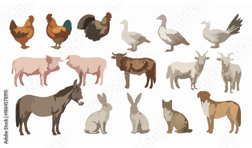Realistic Watercolor Farm Animals Vector Set with Domestic and Livestock Animals