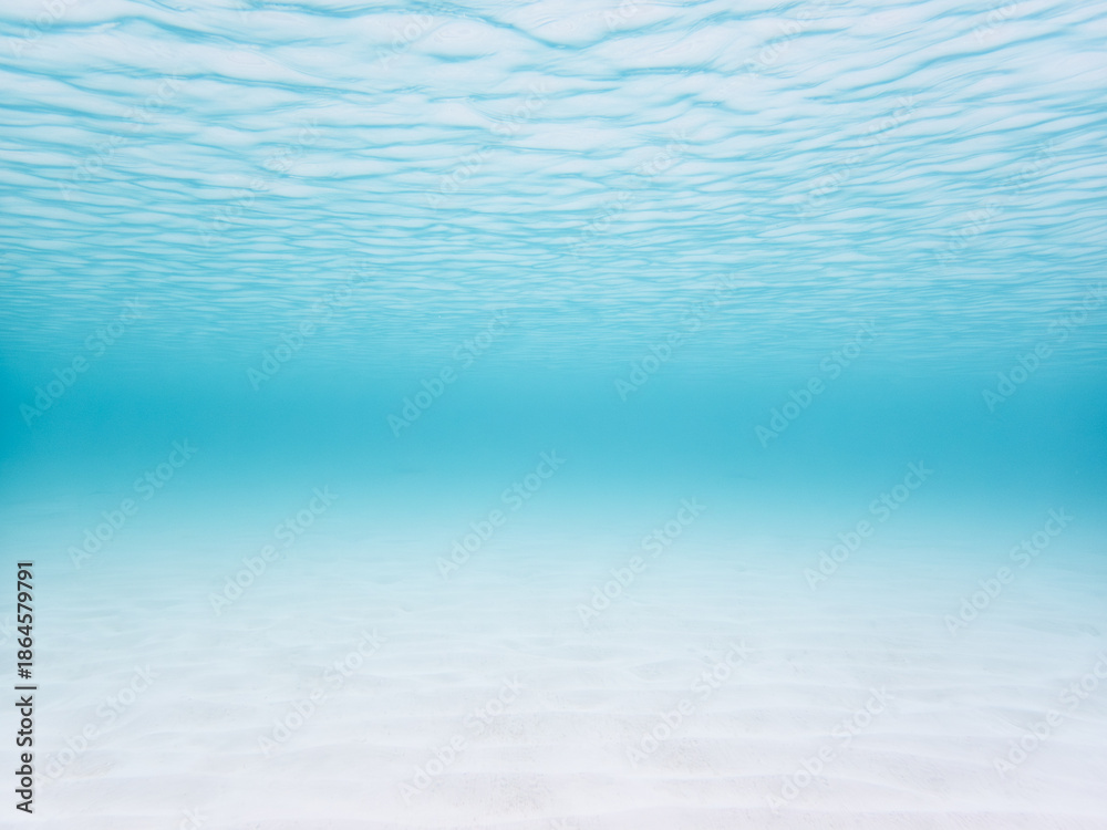 Obraz premium 波照間島の海中風景