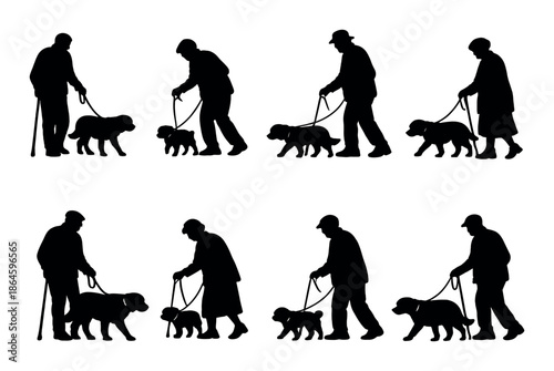 Silhouette of people walking dogs at sunset: leisure and companionship