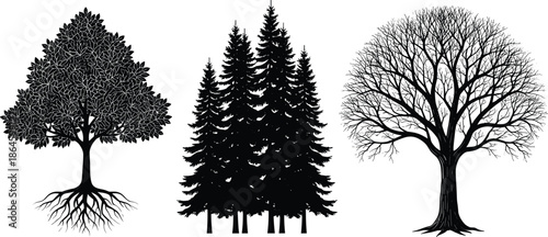 Black tree silhouettes set with deciduous tree, pine forest, and bare branched oak isolated on white