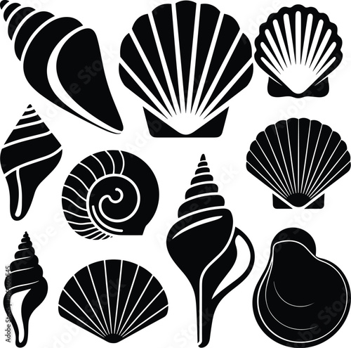 Sea shell silhouettes collection, marine seashell icons set, black vector illustration of ocean beach elements isolated on white background design