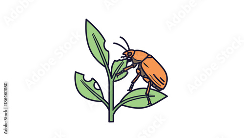 Biological illustration of a brown leaf beetle feeding on a green plant, showing several holes eaten through the leaves.