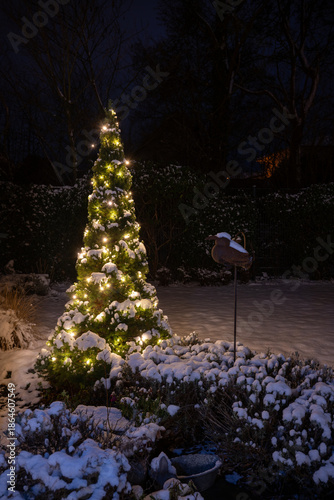 Christmas tree with white lights and snow