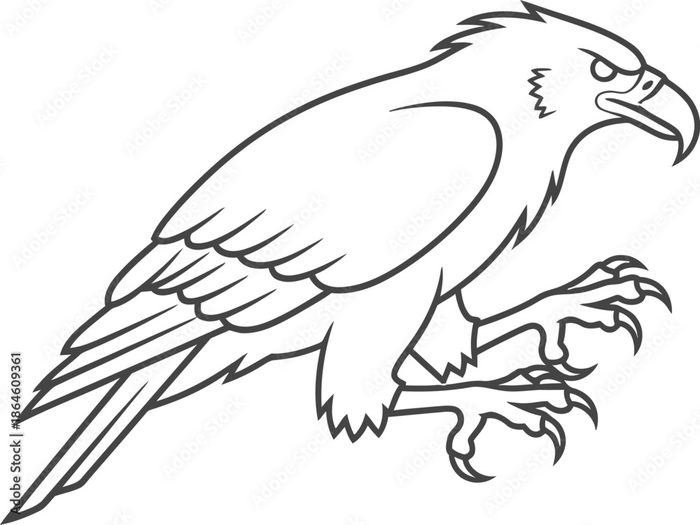 Obraz premium Black and white outline drawing of a fierce eagle perched with sharp talons ready for action against a stark white background