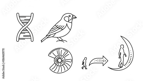 Evolution concept with dna double helix, bird, ammonite fossil, and human figures transforming from ape to standing on moon, representing science, biology, and progress